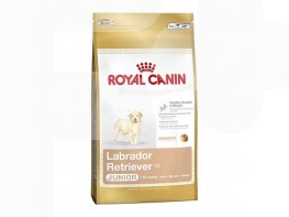 Imagen del producto Royal Canin labrador retriever jr 12kg