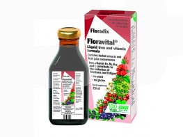 Floravital jarabe sin gluten 250ml Imagen del producto Floravital jarabe sin gluten 250ml