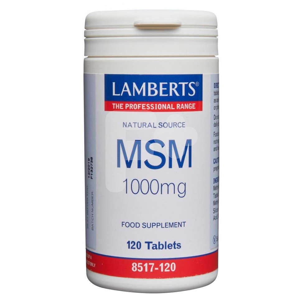 Msm 1000mg 120 tablets 8517 lamberts