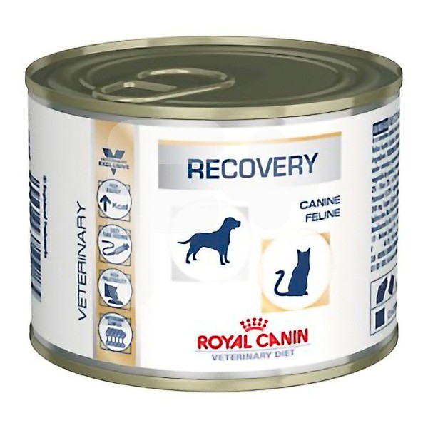 Royal Canin VD dog cat wet recovery 12*195gr Royal Canin VD dog cat wet recovery 12*195gr
