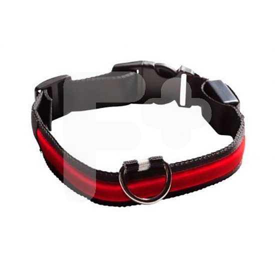 Petuky collar led rojo s