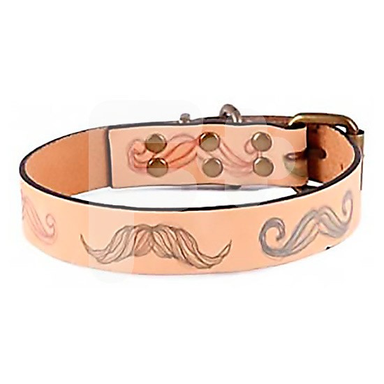 Ubrique collar diseño moustache talla s 18 x 26 x 1.7 cm