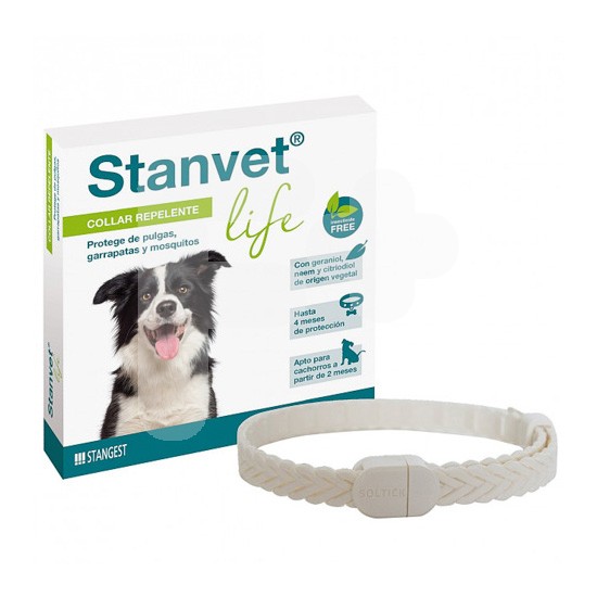 Stangest collar stanvest life perro