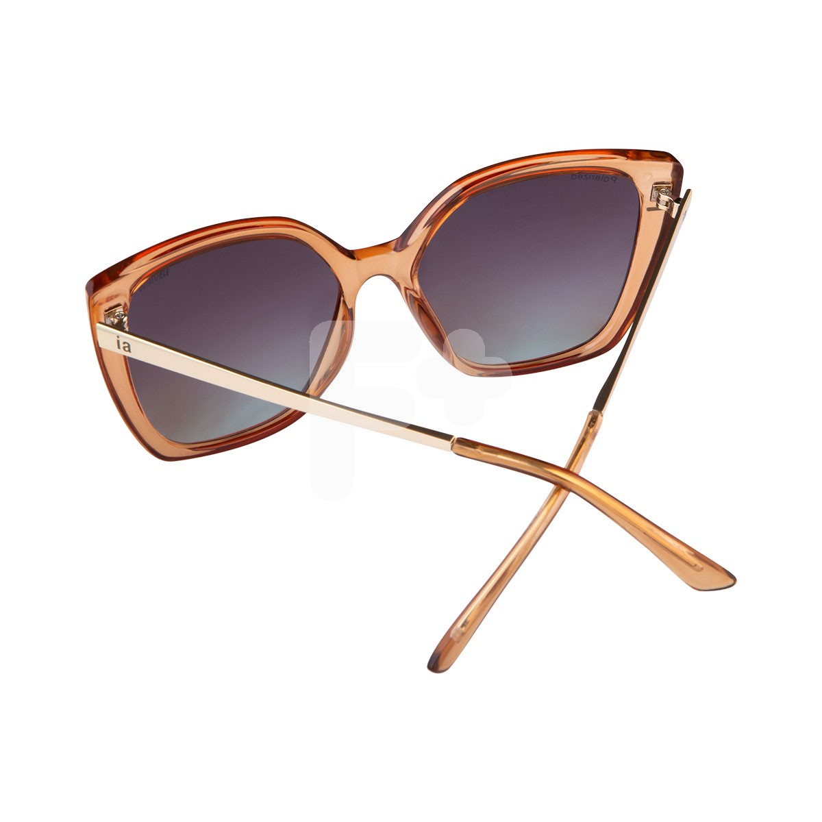 Iaview gafa de sol Fiore 2069 lbrwsm Iaview gafa de sol Fiore 2069 lbrwsm