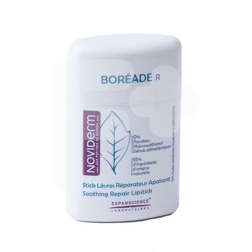 BOREADE R STICK REPARADOR 9,2 GRS.