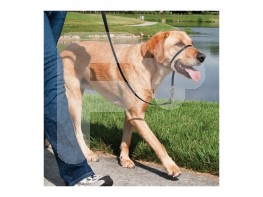 Easy walk collar de manejo para perros   negro mediano