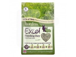 Burgess excel Heno fresh forage 1kg