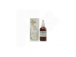 ESPINO B. EXTRACTO GLICE.50ML  XXI SORIA