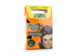 NEOSITRIN PACK CHAMPU + GEL + LENDRERA
