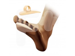 Ratoncito silicona T.L 2U CC226 Ratoncito silicona T.L 2U CC226