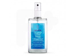 SALVIA DESODORANTE SPRAY 100ML    WELEDA