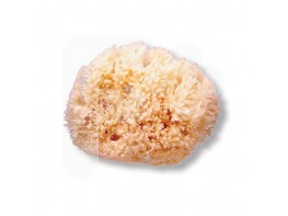 Suavinex Esponja natural grande