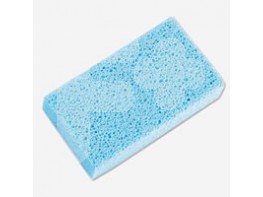 PIEDRA CALLOSITY LLOPAR